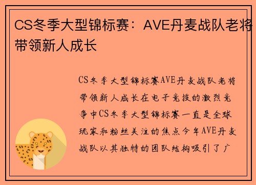 CS冬季大型锦标赛：AVE丹麦战队老将带领新人成长
