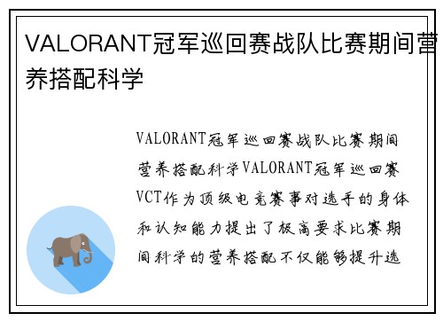 VALORANT冠军巡回赛战队比赛期间营养搭配科学